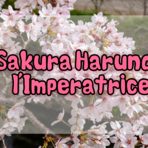 Sakura Haruno è l'Imperatrice di Naruto.